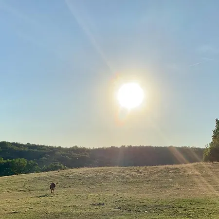 La Meyssonnie Damiatte