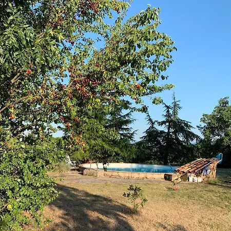 La Meyssonnie فندق مبيت وإفطار Damiatte